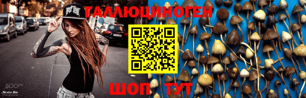 Галлюциногенные грибы GOLDEN TEACHER Пушкино