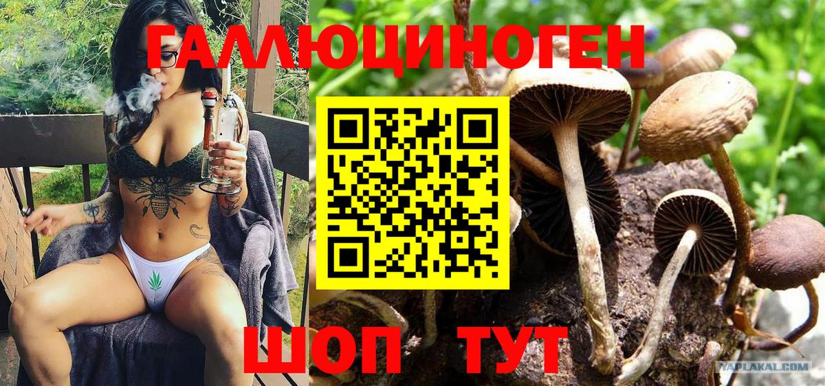 Пушкино  Галлюциногенные грибы MAGIC MUSHROOMS  Вход с VPN  как найти закладки  Псилоцибиновые грибы Magic Shrooms 